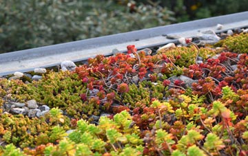 the cost of Auchenhalrig green roof installation