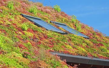 Auchenhalrig living roof systems